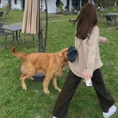 随记